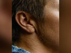 
      
      To establish connection, brain synchronises sound waves: Study
      
      