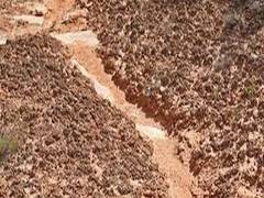 
      
      Scientists identify way to increase sustainability of...
      
      