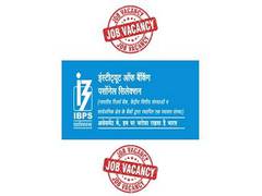 
      
      Apply for this IBPS post promising high CTC
      
      