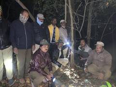 
      
      Assam begins leopard Census in Sila  forest range
      
      