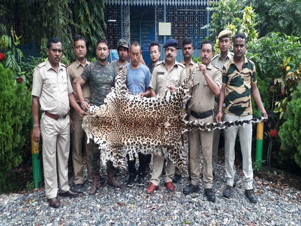Forest officers apprehended a Bhutanese national with leopard skin in his possession on Sunday night. Photo/ANI