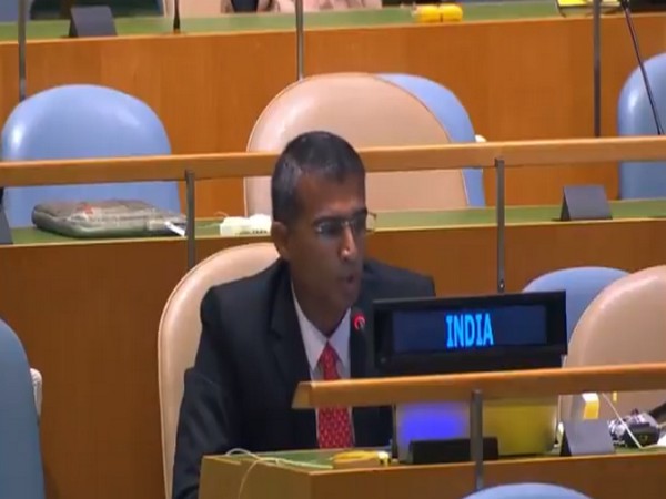 Counsellor in India's Permanent Mission to the UN, A Amarnath. (File pic)