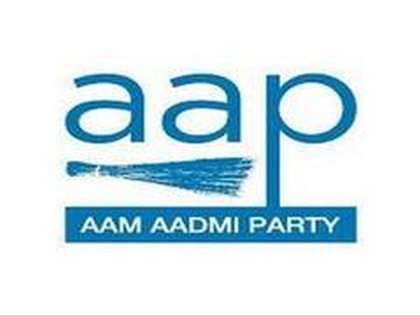 AAP logo
