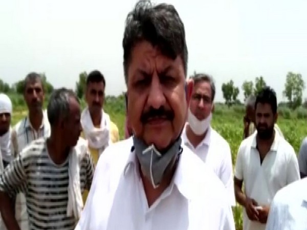 Rohtak Deputy Commissioner R C Verma