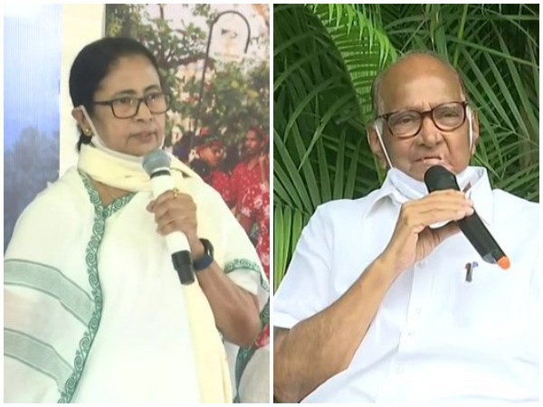 est Bengal CM Mamata Banerjee (L) and NCP Chief Sharad Pawar (R). (File Photos)