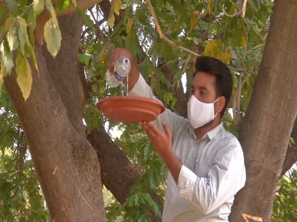 A City Corporation staff filling up a water point installed for birds.