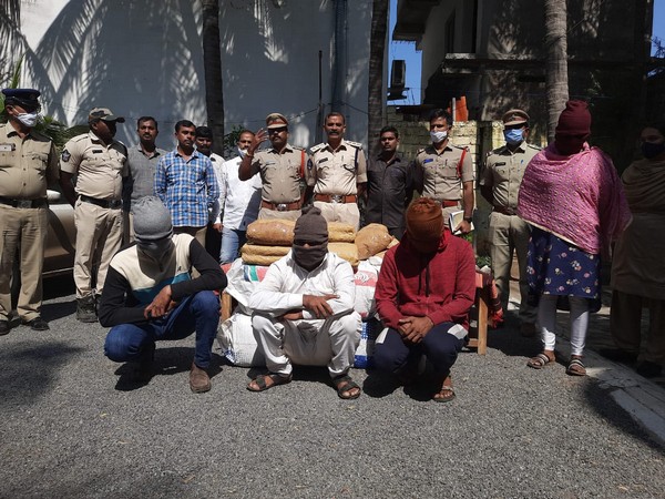 Four persons were arrested after 120 kg cannabis was seized. (Photo/ANI)