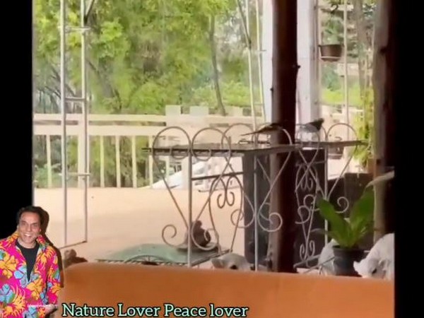 A still from the video shared by Dharmendra Deol (Image courtesy: Twitter)