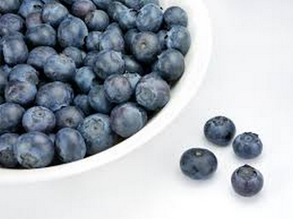 Consumption of a blueberry-enriched diet by women for six weeks alters determinants of human muscle progenitor cell function.