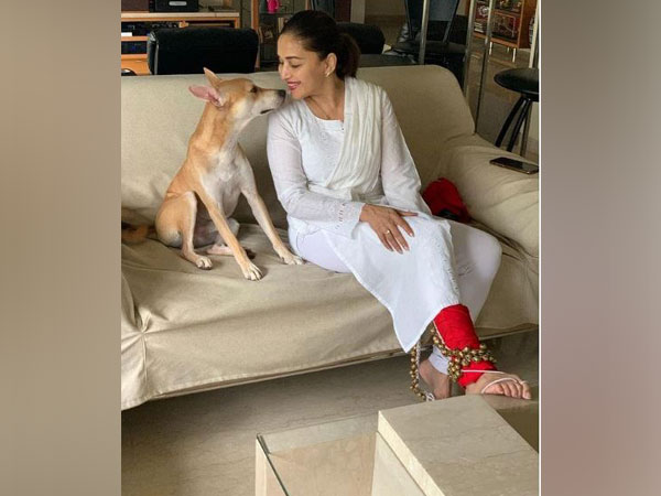 Picture shared by Madhuri Dixit (Image courtesy: Instagram)