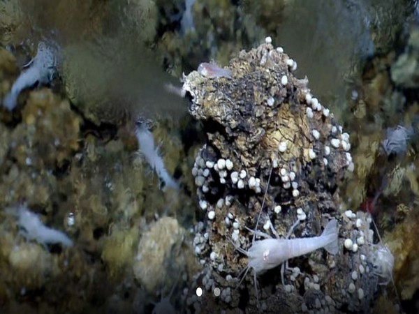 Representative image(Image courtesy: NASA)