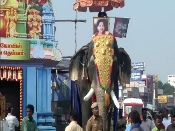 Celebrations outside the venue of the AIADMK's executive council meeting [Photo/ANI]