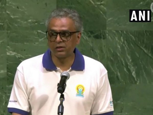 India's permanent representative to the UN Syed Akbaruddin