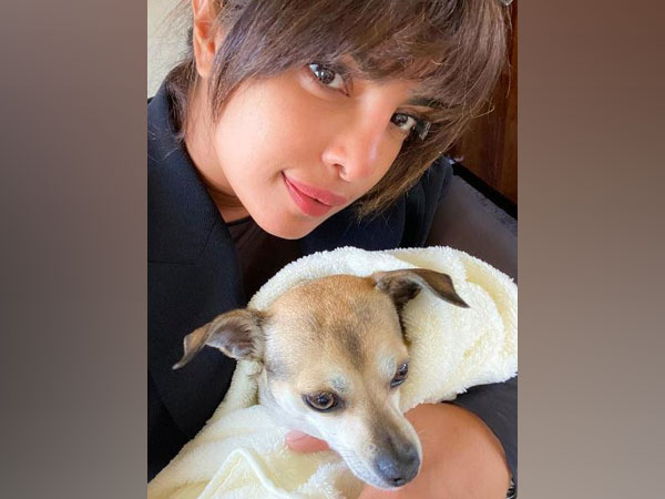 Priyanka Chopra and Diana (Image courtesy: Instagram)