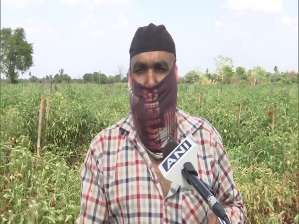 Abdul Jabbar Khan, a farmer