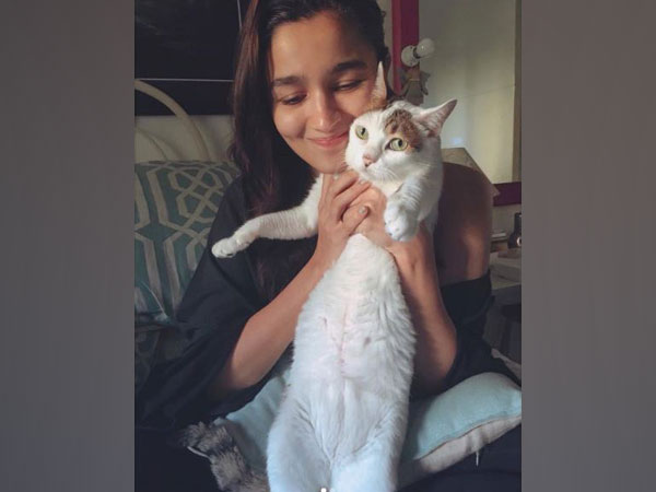 Picture shared by Alia Bhatt (Image courtesy: Instagram)