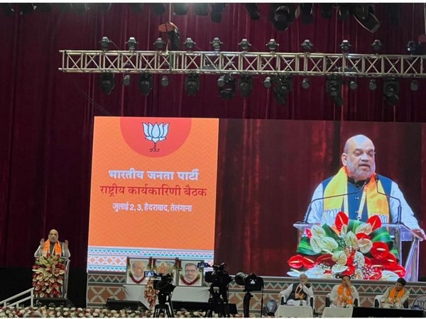 Union Home Minister Amit Shah (Photo/ANI)