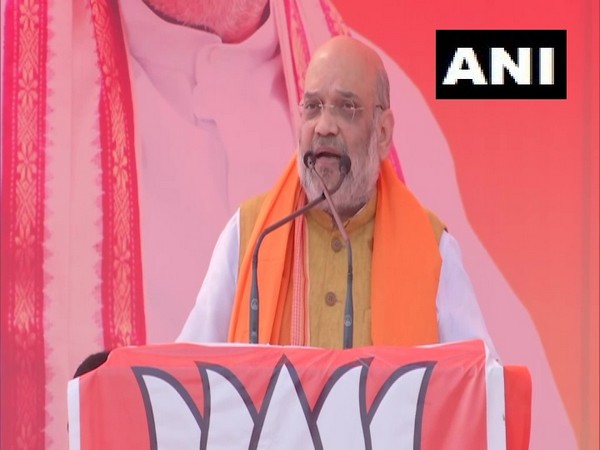 Union Home Minister Amit Shah (Photo/ANI)