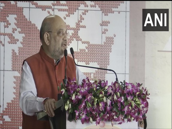 Union Home Minister Amit Shah (Photo/ANI) 