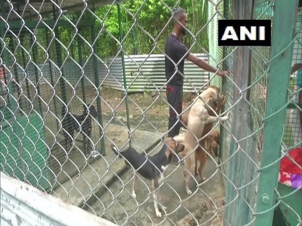 Visual of the stray animal farm (Photo/ANI)