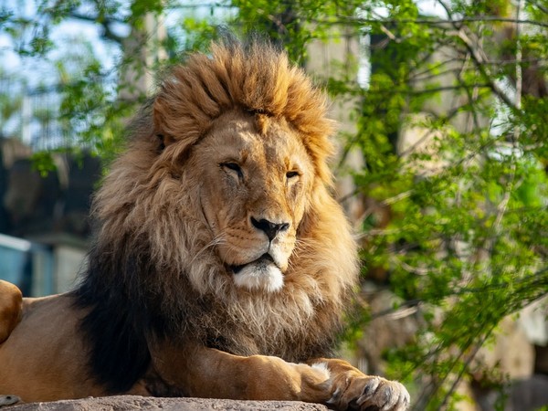 The ecologists are recognising the predators and their effects which affect the prey numbers not just by killing them, but by scaring them as well.