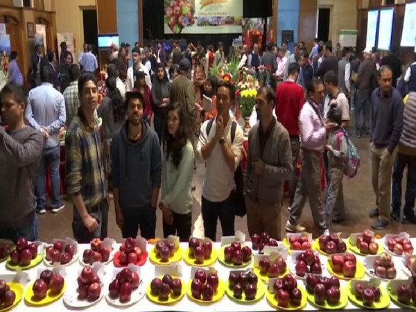 Visual of two day apple festival. (Photo/ANI)