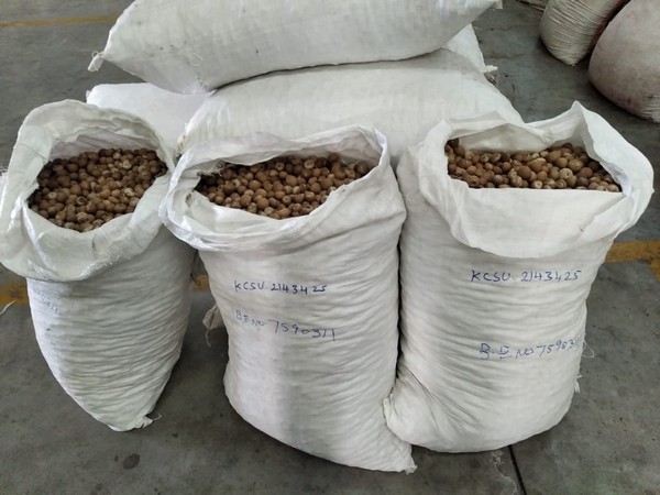 A consignment of Areca nuts that was being smuggled seized at Krishnapatnam Port