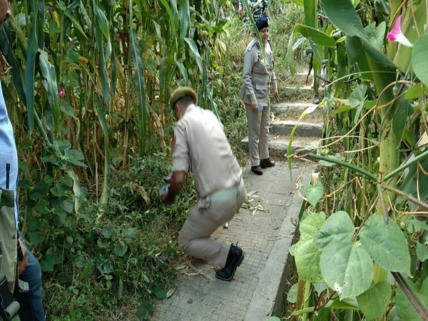 Security Forces launched a search operation after a suspect snatched a cellphone from an elderly lady. 