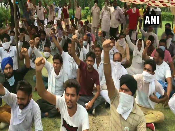 Bharatiya Kisan Union on Tuesday staged a sit-in protest in Ambala (Photo/ANI)