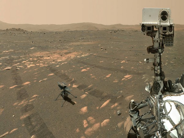 NASA's Perseverance Mars rover took a selfie with the Ingenuity helicopter (Image credits: NASA/JPL-Caltech/MSSS)