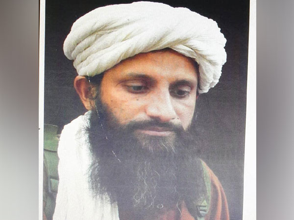 Pakistani national and Chief of al-Qaeda in the Indian Subcontinent (AQIC) Asim Umar