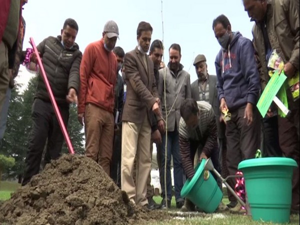 Chinar tree plantation drive in Srinagar, Jammu and Kashmir. (Photo/ANI)
