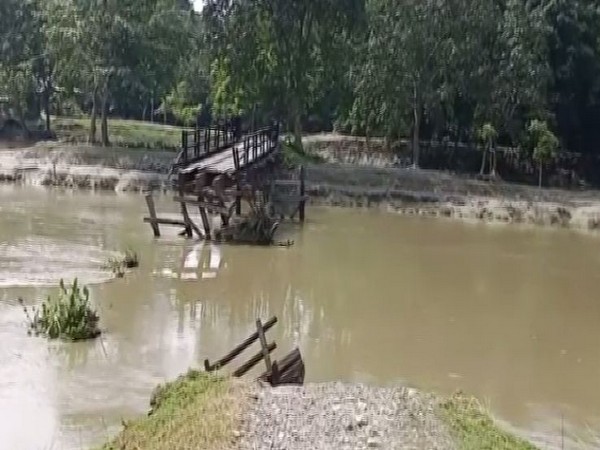 Visuals of a wooden bridge which was washed away in the flood on Sunday in Nalbari. Photo/ANI