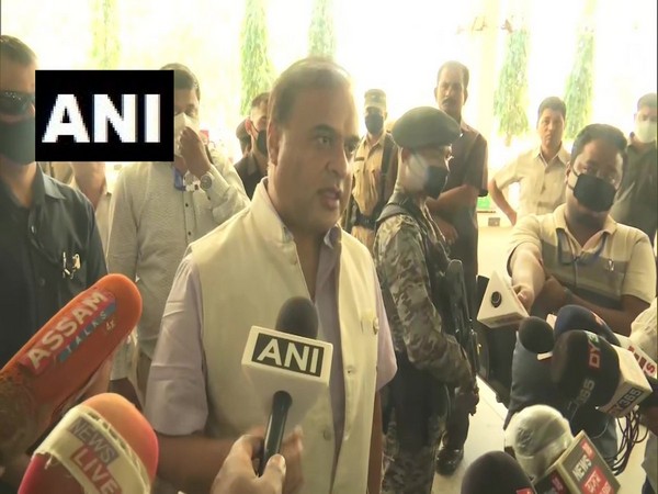 Assam Minister Himanta Biswa Sarma (File photo)