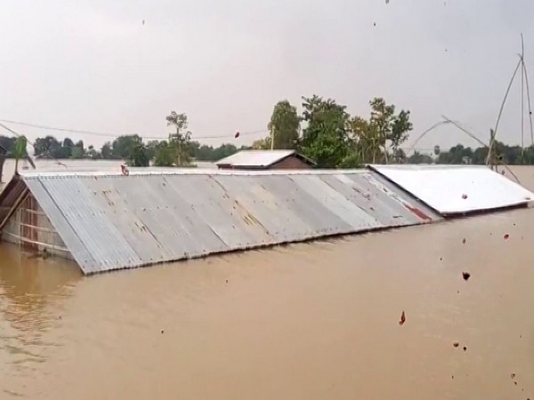 Houses submerged in the floodwaters.