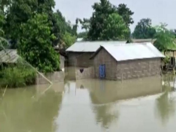 A visual of houses submerged in the floodwaters in Assam. (Photo/ANI) 