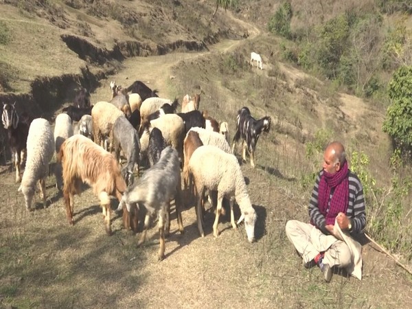 Visuals from the spot (Photo/ANI)