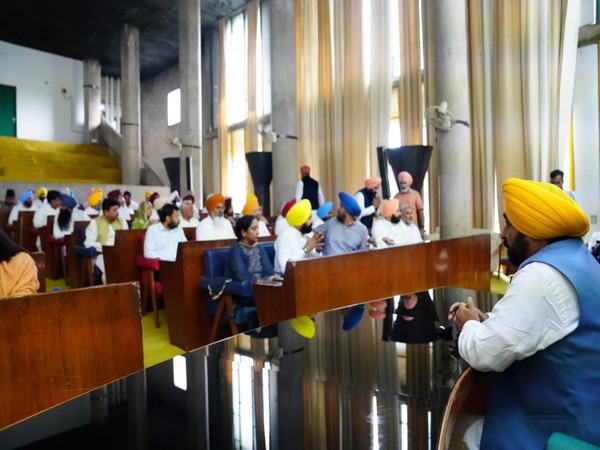 CM Bhagwant Mann addressing cabinet meeting (Photo/ANI)