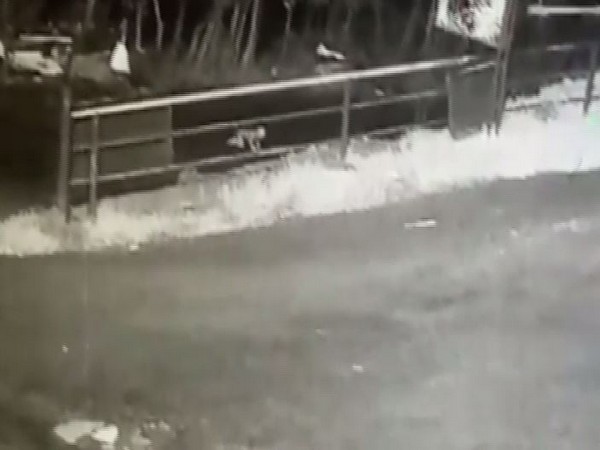 The baby crawling on the road after falling from a speeding vehicle. Photo/ANI