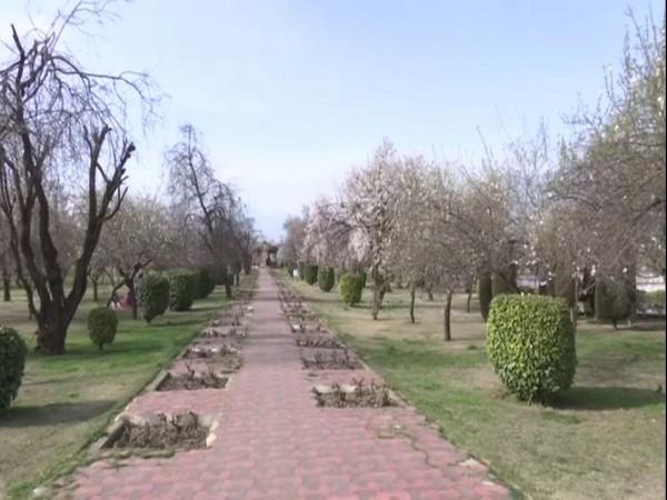 Visual from Badamwari garden