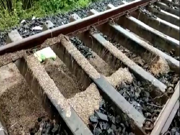 Heavy rains have disrupted rail services, repair work underway. (Photo/ANI)