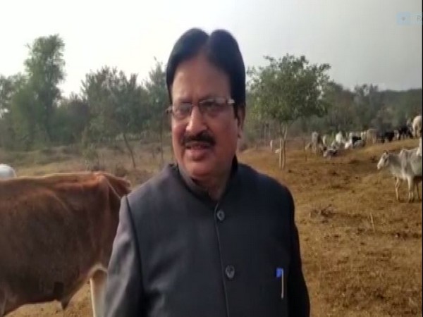 Mansoor Ahmed, SDM, Banda talking to ANI in Banda on Monday 