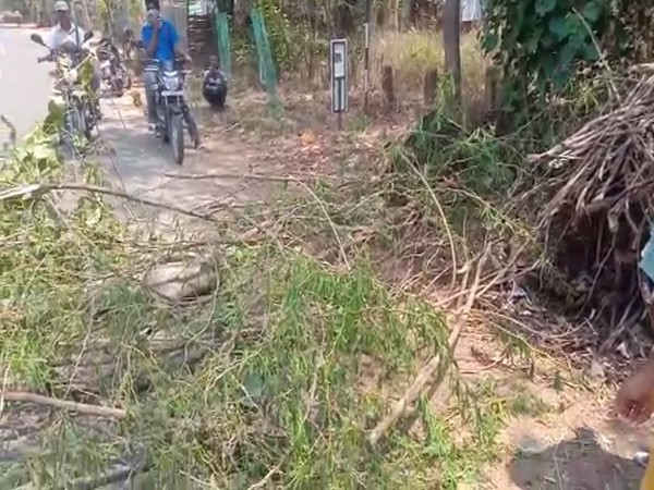 The youths of a village in Khammam district have set up a barrier restricting entry in the wake of COVID-19 pandemic. Photo/ANI