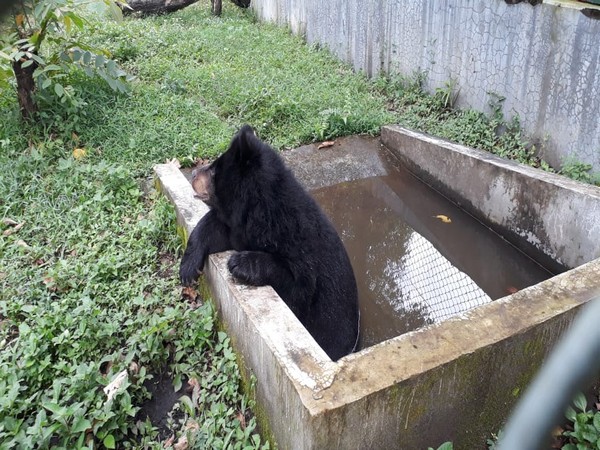 North Bengal Wild Animals Park. Photo/ANI
