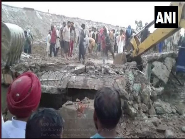 The cow shelter in Bathinda where the roof collapsed earlier on Tuesday. Photo/ANI