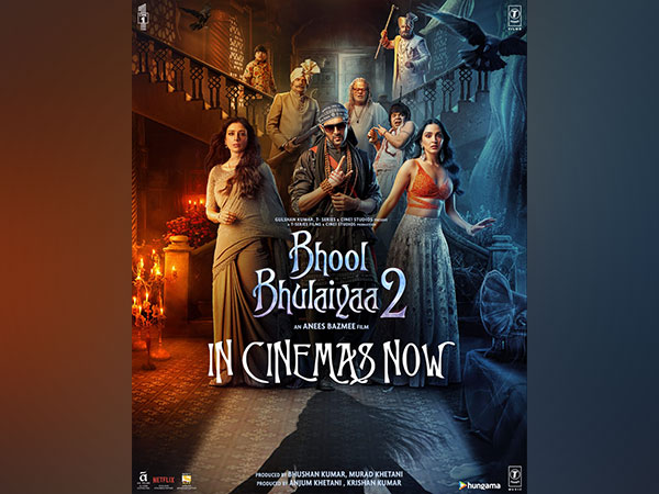 Poster of Bhool Bhulaiyaa 2 (Image source: Instagram)