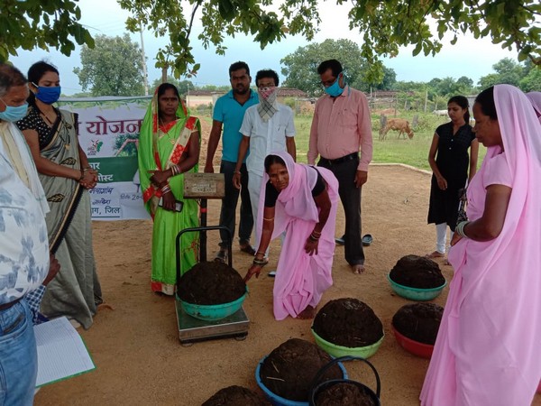 Nearly 82,711 quintals of cow dung have been procured from 46,964 out of a total of 65,694 registered beneficiaries. (Photo/ANI)