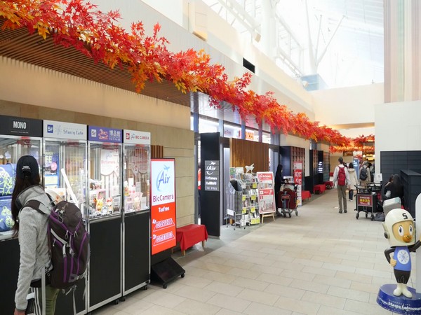 BIC Camera stores at prime locations are attracting visitors.