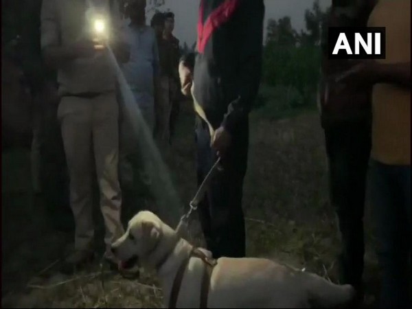 Visual from the spot.