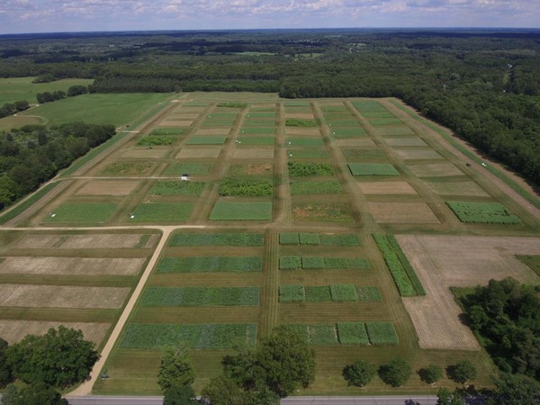 Climate change mitigation scenarios limiting global temperature increase to 1.5 degC rely on decarbonizing vehicle fuel with bioenergy production together with carbon capture and storage.
